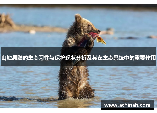 山地臭鼬的生态习性与保护现状分析及其在生态系统中的重要作用